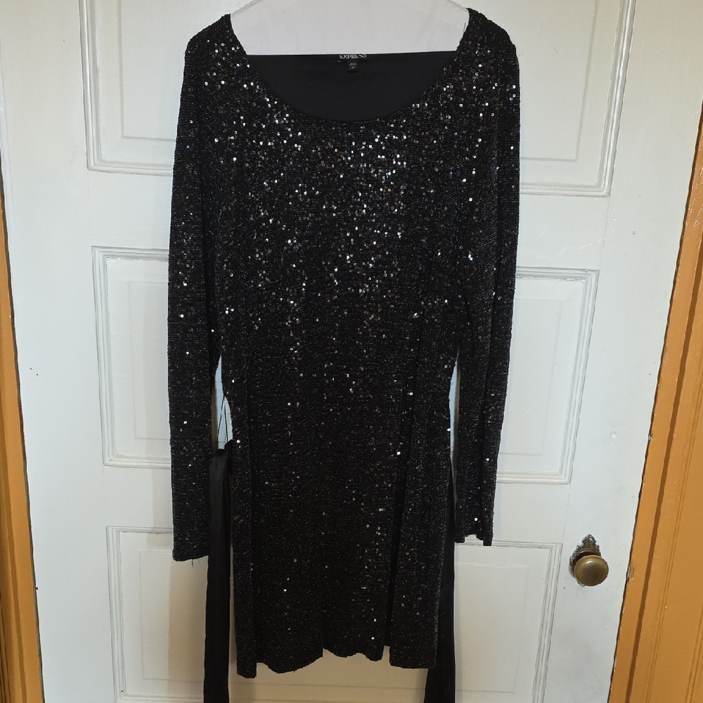 Express Black Sequin Long Sleeve Dress